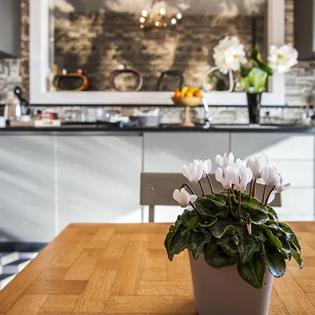 בית הארחה Rarity רומא